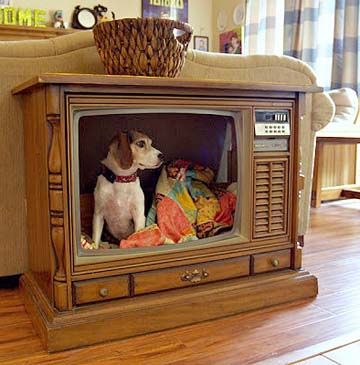 DIY Dog bed made from an old TV Old Tv Consoles, Indoor Dog House, Dog Crates, Dog House Diy, Diy Dog Bed, Indoor Dog, Lhasa Apso, Lhasa, Faux Locs