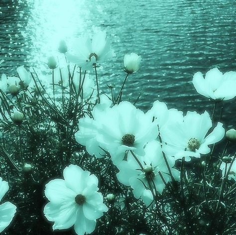 Libertycore Aesthetic, Profile Picture Grunge, Blue Green Aesthetic, Dark Green Flowers, Flowers Grunge, Paradise Aesthetic, Nature Grunge, Forest Grunge, Green Grunge