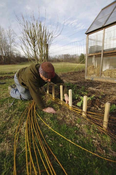 Willow Border Edging, Willow Edging Garden Beds, Wattle Garden Beds, Diy Stick Fence Garden, Willow Wattle Fence, Wattle Fence Garden, Woven Garden Beds, Willow Garden Edging, Diy Willow Fence