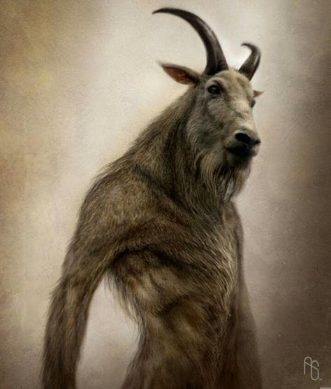 Goat head Humanoid creature with big ram horns Louis Daguerre, Prince Caspian, A Goat, Chronicles Of Narnia, Urban Legends, Mythological Creatures, Magical Creatures, An Animal, Narnia