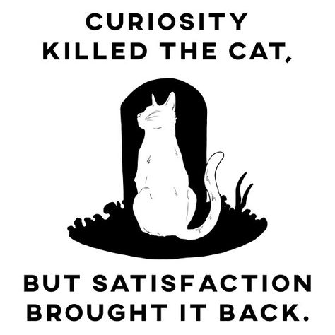 Curiosity Aesthetic, Strange Art, Curiosity Killed The Cat, Cat Poster, Cat Posters, Oc Ideas, Weird Art, Cat Tattoo, Book Aesthetic