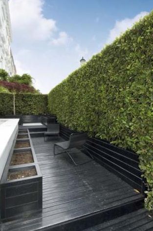 Habitually Chic® » Tom’s Townhouse London Residence, Black Deck, House Pictures, Staining Deck, London House, Town House, Garden Pathway, Deck Garden, Back Gardens