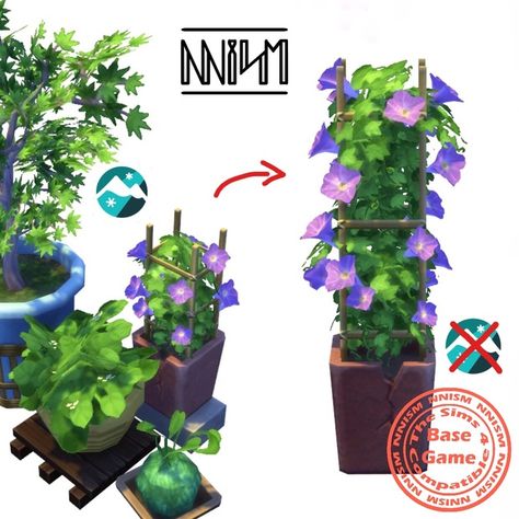 Sims 4 Parrot Cc, The Sims 4 Growing Together Cc, The Sims 4 Cc Plants Maxis Match, Sims 4 Vines, Sims 4 Cc Outdoor Plants, Sims 4 Cc Nature, Sims 4 Cc Plants Patreon, Sims 4 Flower Cc, Ipomoea Tricolor