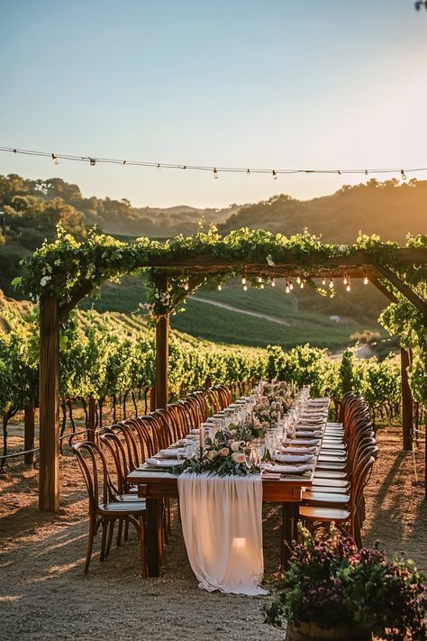 Discover charming vineyard wedding venues for your dream ceremony! Picture enchanting landscapes, rustic elegance, and romantic sunsets. Explore tips to create a magical day that reflects your love story!   #VineyardWedding #WeddingVenues #WeddingPlanning #RusticElegance #DreamWedding #BridalInspiration #WeddingDecor #LoveStory #OutdoorWeddings #WeddingIdeas #RomanticCeremony #WeddingPlanningChecklist #UniqueVenues #BridalTips #CeremonyInspiration Wine Wedding Aesthetic, Wedding On Vineyard, Elegant Rustic Wedding Ideas Receptions, Vintage Winery Wedding, French Winery Wedding, Italian Vineyard Wedding Aesthetic, Wine Estate Wedding, Winery Reception Ideas, Boho Vineyard Wedding