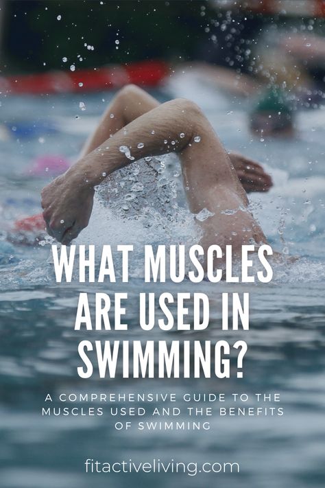 Benefits Of Swimming Laps, Losing Weight Swimming, Swim Training For Beginners, Lap Swimming For Beginners, Swimming Benefits For Women, Swimming Techniques For Beginners, Swimming Training Plan, Different Swimming Strokes, Swimming For Exercise