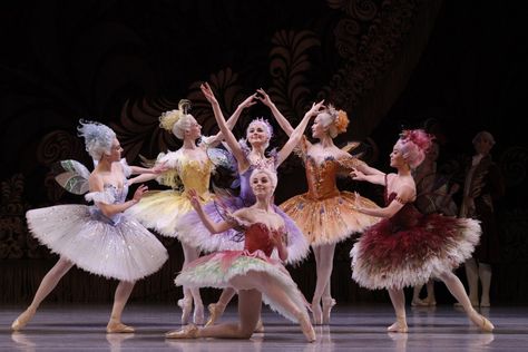 Austrialian Ballet  - The Sleeping Beauty - Fairies Ballet Sleeping Beauty, Sleeping Beauty Ballet, Sleeping Beauty Fairies, Australian Ballet, Ballet Performance, Ballet Aesthetic, The Sleeping Beauty, Ballet Beauty, Jitterbug