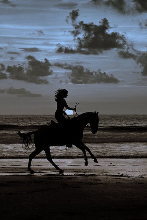 Woman Riding Horse, Horsey Life, On The Wings Of Love, Cute Horse Pictures, Horse Wallpaper, Horse Aesthetic, Horse Videos, Horse Silhouette, Cute Horses