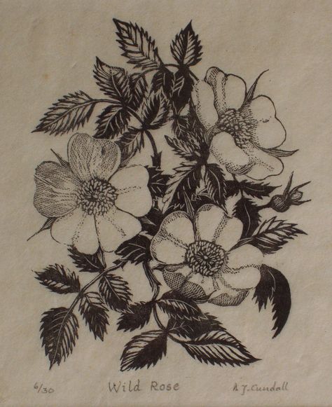 Lithography Flowers, Vintage Floral Illustration, Wild Rose Tattoo, Engraving Tattoo, Witch Tattoo, Botanical Tattoo, Roses Drawing, Best Sleeve Tattoos, Plant Drawing