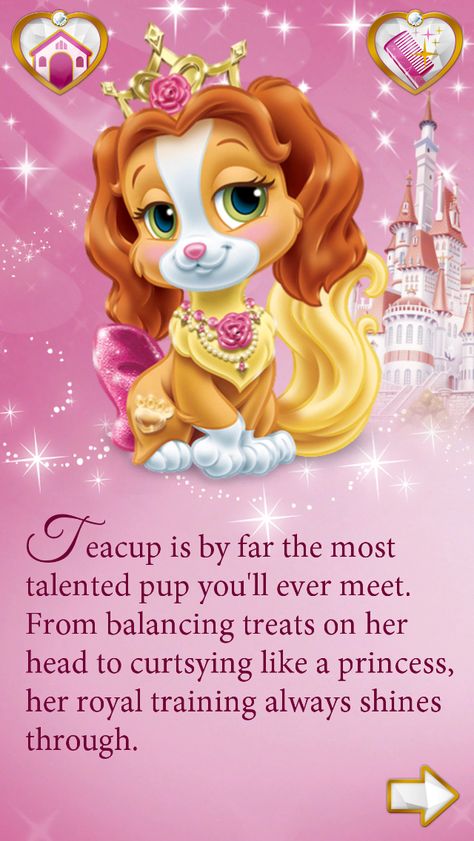 Teacup is by far the most talented pup you'll ever meet. From balancing treats on her head to curtsying like a princess, her royal training always shines through. #BeautyAndTheBeast Thanksgiving Turkey Pictures, Princess Pets, Disney Princess Pets, Dream Catcher Vector, Disney Princess Palace Pets, Princess Palace Pets, Walt Disney Princesses, Princess Palace, Cars Birthday Party Disney