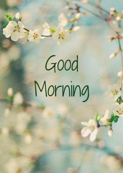 Spring Good Morning, Good Morning Images Download, Good Morning Pics, Good Morning Wallpaper, Good Morning Beautiful Images, Morning Pics, Good Morning Cards, Good Morning Images Flowers, Good Day Quotes