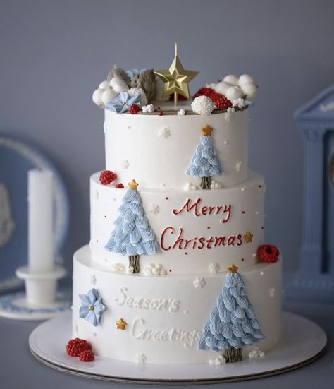 Ocean Birthday Cakes, Number Birthday Cakes, Christmas Themed Cake, Dummy Cake, Christmas Cake Designs, Beautiful Cake Stands, Cake Decorating Set, New Year's Cake, Xmas Cake