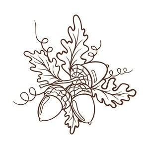 Design Store Product ID D-386291 Acorn Line Drawing, Fall Outline Drawings, Acorn Drawing, Pine Needle Crafts, Fall Scrapbook Layouts, Fall Drawings, Shrink Art, Winter Watercolor, Laser Art