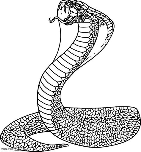 Indian King Cobra Coloring Pages : Kids Play Color Reptile Drawings, Snake Outline, King Cobra Snake, Snake Coloring Pages, Flash Sheets, Snake Drawing, Cobra Snake, Doodle Ideas, King Cobra