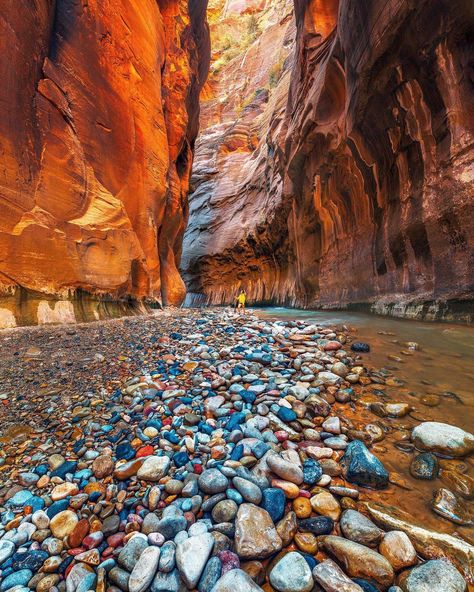 The Narrows, Zion National... - Family Travel Bucket List | Facebook Narrows Zion National Park, The Narrows Zion, Travel Fashion Girl, The Narrows, American National Parks, Zion National Park Utah, Best Vacation Spots, National Parks Usa, Utah National Parks