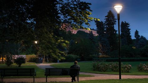 Park Lighting, Philips Lighting, Park Pictures, Sunset Background, Couple Photoshoot Poses, Night Vibes, Aesthetic Desktop Wallpaper, Night City, City Aesthetic