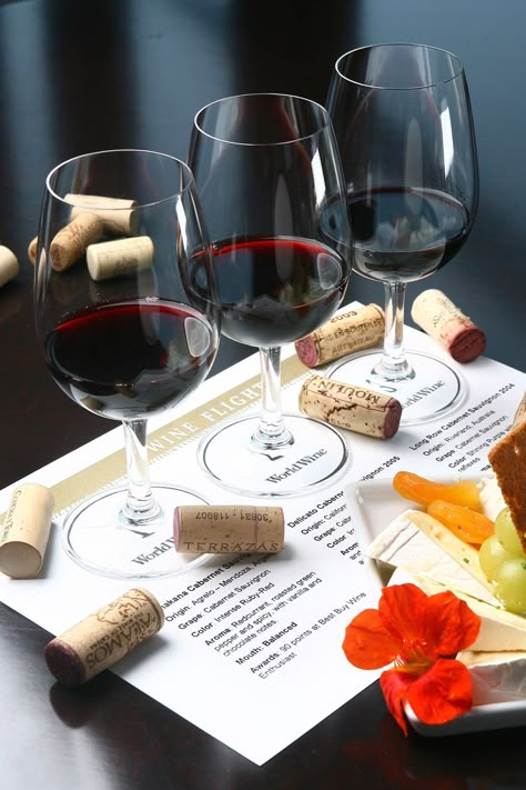 Wine Flight, Wine Descriptions, Wine Restaurant, Wine And Cheese Party, Wine Book, Wine Tasting Events, Wine Tasting Experience, Wine Photography, Wine Preserver