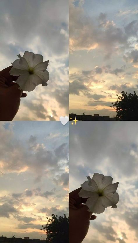 Weather Pics Sky, Pretty Flowers Photography, Accessible Design, Sparkle Wallpaper, Snap Streak Ideas Easy, Instagram Photo Frame, Sky Photography Nature, Nature Instagram, Shadow Photos