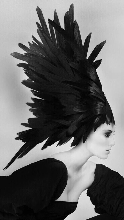 Feather Fashion, Swan Lake, Black Feathers, Black Swan, Strike A Pose, Black Magic, Black White Red, Back To Black, Black Bird