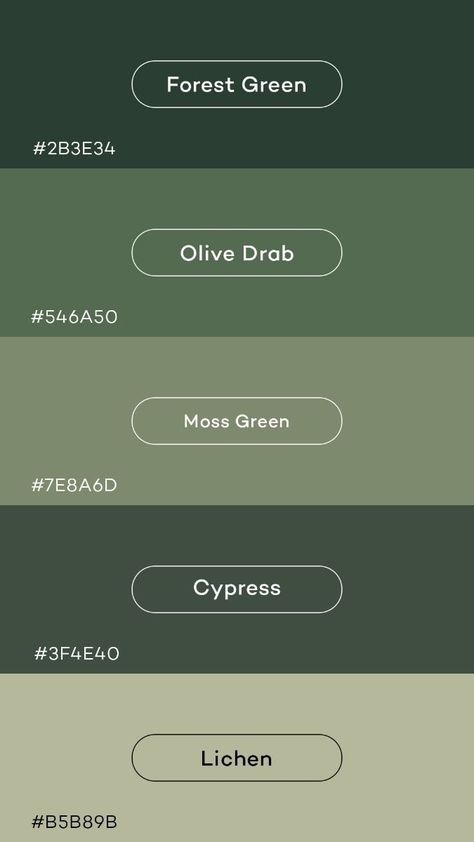 Mint And Olive Green Color Palettes, Green Pallete Combination, Forest Green Shades, Earthy Greens Color Palette, Forest Green Website Design, Colour Palette Forest Green, Olive Pallet Colour Palettes, Moss Colour Palette, Color Palette With Forest Green