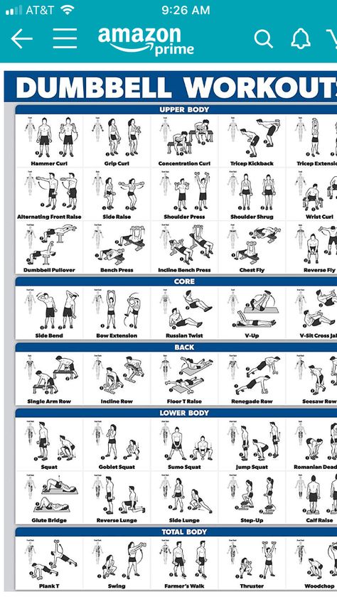 Leg Workouts For Men, Muscle Diagram, Body Squats, Dumbbell Workouts, Workout Program Gym, Tricep Kickback, Gym Workout Planner, Whole Body Workouts, Dumbell Workout