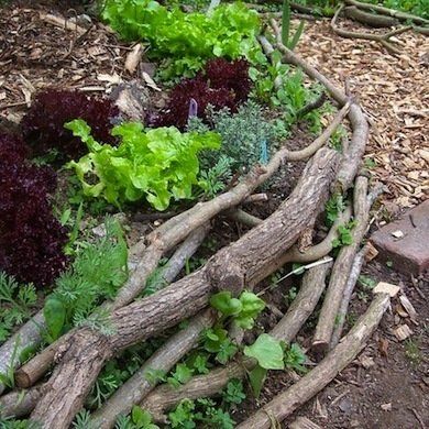 Landscape Edging, Lawn Edging, Woodland Garden, Landscaping Tips, Garden Edging, Diy Garden Projects, Garden Borders, Natural Garden, Lawn And Garden