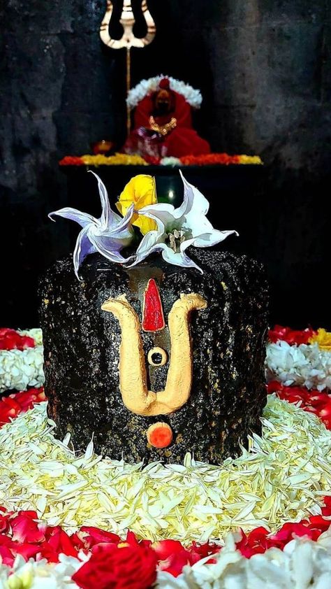 Bole Nath, Hara Hara, Bhagavata Purana, Indian Goddess Kali, Indian Flag Wallpaper, Namah Shivaya, Lord Jagannath, Shiva Lingam, Shiva Linga