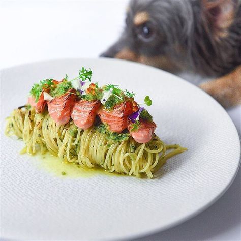 Recipe by SnowcologyCreation | Basil pesto pasta with charred aburi salmon. | Cookniche, linking the culinary world Spaghetti Plating, Basil Pesto Pasta, Food Presentation Plates, Food Plating Techniques, Gourmet Food Plating, Plating Ideas, Fine Dining Recipes, Awesome Food, Basil Pesto