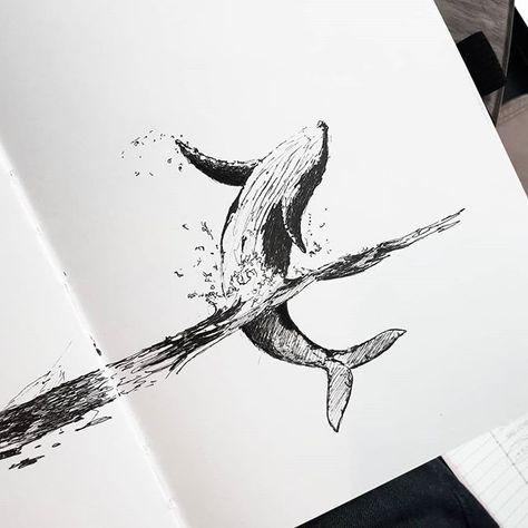 #inktober2018 #whale I haven't drawn an animal since forever. 15 minute sketch = poor whale has uneven flippers. Good luck out there friend. #illustrations #ofhiddenplaces Whale Sketch, Whale Drawing, Whale Tattoos, Black And White Illustrations, Whale Art, For Journal, 1 Tattoo, Cover Page, Pen Art