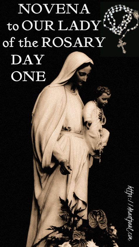 Novena to Our Lady of the Rosary - Day One - 28 September - Day One – We pray for the Holy Church and our personal intention:  To Mary, Mother of God and our Mother, who sees how the Catholic Faith is assailed by the devil and the world, To Thy protection, we entrust ourselves ....#mypic Rosary Novena, Angel Faces, Our Lady Of The Rosary, Lady Of The Rosary, Mary Mother Of God, Novena Prayers, 28 September, Catholic Books, Praying The Rosary