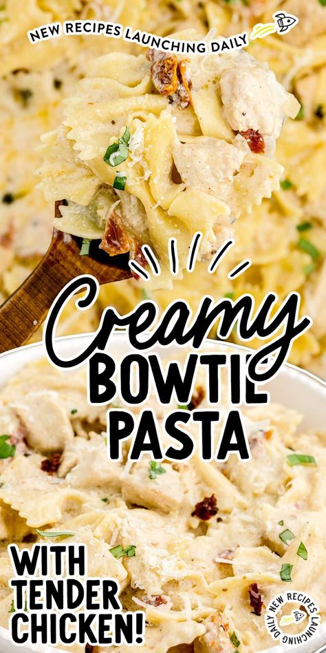 Mini Farfalle Recipes Pasta Dishes, Chicken And Bowtie Pasta Recipes, Chicken Bowtie Pasta Recipes, Bowtie Pasta Recipes Easy, Creamy Bowtie Pasta, Bowtie Pasta Recipe, Bowtie Pasta Recipes, Bow Tie Pasta Recipes, Farfalle Pasta Recipes