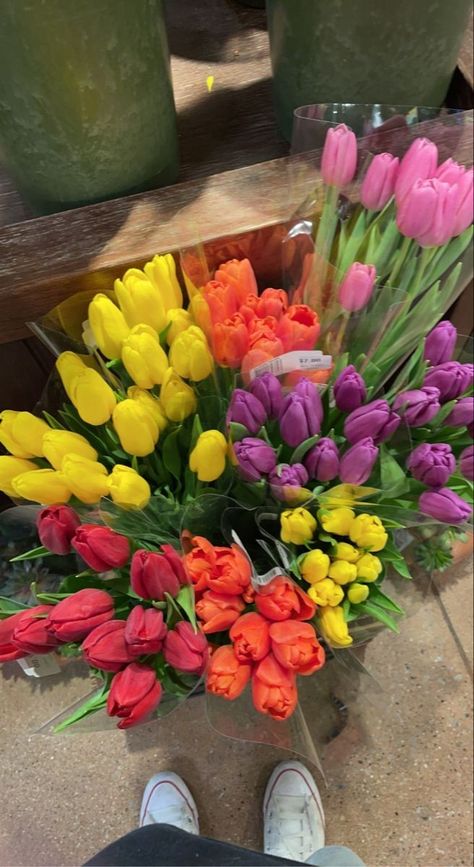 Rainbow Tulips, Pretty Tulips, Sunset Colors, Pretty Colours, Pretty Flowers, Rainbow Colors, Tulips, Planting Flowers, Flower Arrangements