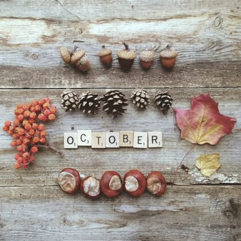 Autumnalsoul: cozy up by the fireplace and have a cup of... 22 September, Hello October, Fall Inspiration, Fall Feels, Happy Fall Y'all, Autumn Beauty, Seasons Of The Year, Fall Favorites, Autumn Aesthetic