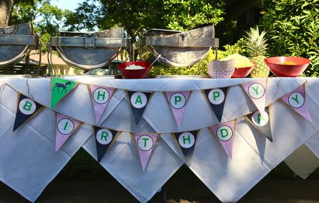 kentucky derby birthday party banner Derby Birthday Party, Kentucky Derby Birthday Party, Kentucky Derby Birthday, Kentucky Derby Decor, Kentucky Derby Decorations, Derby Decor, Run For The Roses, 2nd Birthday Party, Kentucky Derby Party