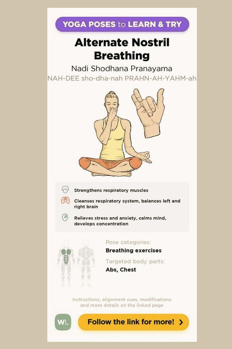 Nadi Shodhana Pranayam,Strengthens respiratory muscles

CCleanses respiratory system, balances left and

right brain Relieves stress and anxiety, calms mind,

develops concentration Nostril Breathing, Alternate Nostril Breathing, Right Brain, Respiratory System, Breathing Exercises, Pranayama, Yoga Poses, Meditation, Mindfulness