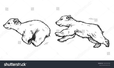 Graphic drawing of two running bear cubs. Illustration isolated on white. image illustration Running Bear Illustration, Bear Running Drawing, Bear Cub Sketch, Bear Cubs Tattoo, Bear Cub Drawing, Bear Cub Tattoo, Walking Sketch, Bear Running, Running Drawing