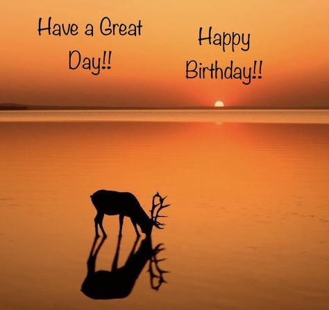 Happy Birthday Hunting, Happy Birthday Hunter, Hunting Funny, Birthday Wish, Son In Law, Happy Birthday Greetings, Birthday Images, Happy Birthday Wishes, Birthday Greetings