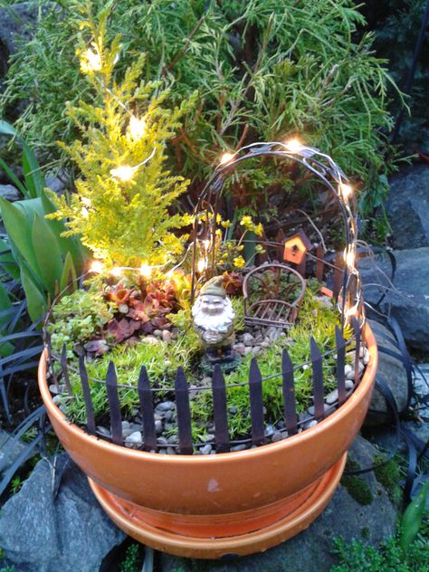 Fairy Garden Design Ideas, Fairy Garden Designs, Faeries Gardens, Mini Fairy Garden, Garden Mini, Fairy Garden Houses, Garden Terrarium, Fairy Garden Diy, Miniature Fairy