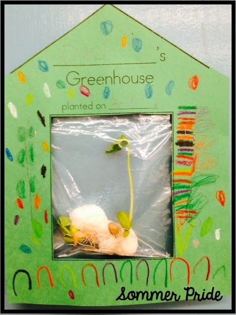 So much cuter (and just a little bit more work) than using just a ziplock back in the window.  Get the greenhouse blackline, or make your own.  Great idea! Plant Unit Kindergarten, Glad Strategies, Plants Kindergarten, Science Experience, Kindergarten Units, Plants Unit, Spring Kindergarten, Plant Activities, Kid Science