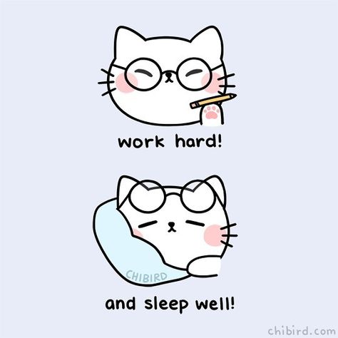 A motivational cat reminding you to give it your all when you work, but also treasure your rest time! _____ #motivational #webcomic #comics #chibird #doodleart #studygram #studyblr Chibird Motivation Study, Cat Motivational Quotes, Cute Motivational Doodles, Motivational Doodles, Kawaii Motivation, Chi Bird, Motivation Cartoon, Motivational Animals, Cat Motivation