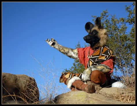 African Wild Dog Fursuit, Realistic Fursuit, Fursuit Inspiration, Unique Fursuits, Dog Fursuit, Fursuit Ideas, Fur Suits, Cool Fursuits, Painted Dog