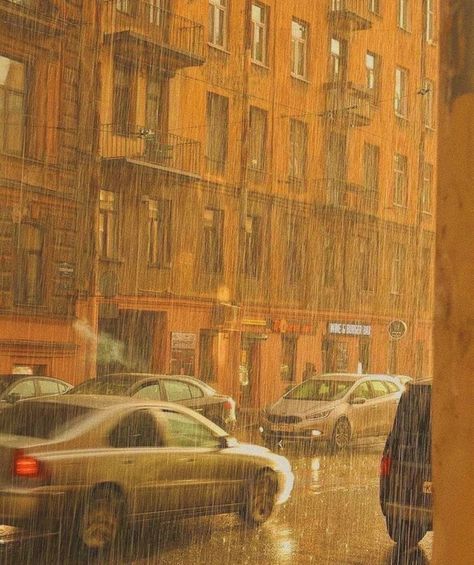 Trending Pins, Gold Aesthetic, Orange Aesthetic, Yellow Aesthetic, In The Rain, Aesthetic Photo, Aesthetic Photography, Golden Hour, Pretty Pictures