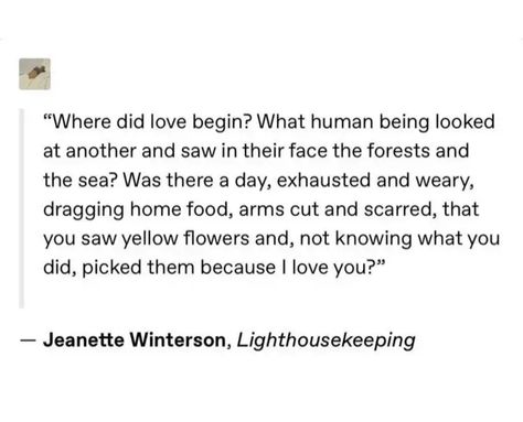 Jeanette Winterson Quotes, Jeannette Winterson, Jeanette Winterson, Valentine Quotes, Because I Love You, Do Love, Jane Austen, Yellow Flowers, Favorite Quotes