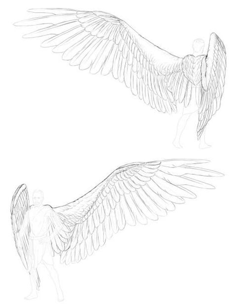 12 Angel Wings Drawings Check more at https://drawingwow.com/12-angel-wings-drawings/ Angel Wing Drawing Tattoo, Draw Angel Wings, How To Draw Wings, Draw Angel, Draw Wings, Wings Sketch, Tattoos Celebrities, Angel Wings Drawing, Angel Wings Art