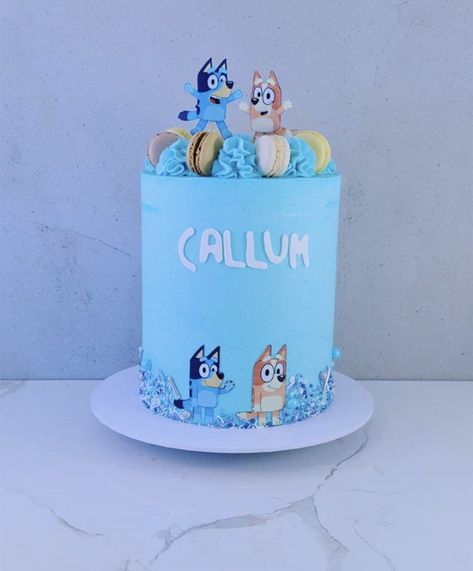 Number 5 Cake Bluey, Number Cake Bluey, Bluey Abc Kids Cake, Bluey Cake Sprinkles, Bluey Cake With Figurines, Fiesta Bluey, Abc Kids, Bingo Party, Baby Ariel