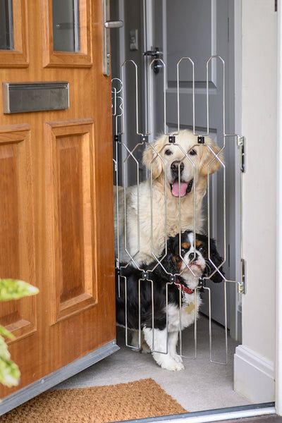 Front Door Gates For Dogs, Front Door Dog Barrier, Sliding Dog Door, Front Door Dog Gate, Front Door Gate, Retractable Dog Gate, Dog Barrier, Retractable Door, Sliding French Doors