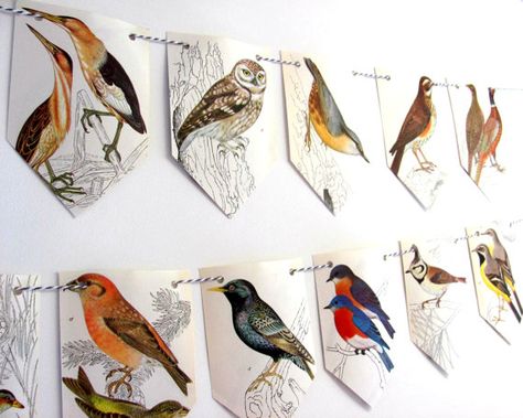 I have made these garlands from an old, used copy of a book of birds. These are beautiful illustrations, in lovely colours, on good quality paper.  The bunting can be viewed from both sides too! So in the garland of 9 flags there are 18 different birds! The threading holes are supported with transparent hole reinforcers so the flags can be moved along the twine without fear of tearing and the garland can be taken down/stored and reused with confidence. However, it isnt really suitable fo... Forest Display, Bird Theme Parties, Birds Decor, Crochet Hook Holder, Bird Baby Shower, Bird Birthday Parties, Paper Bunting, Different Flags, Mini Bunting