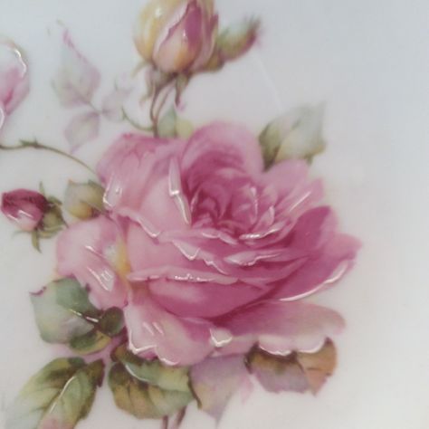 Hand painted rose on porcelain Red And Pink Roses, Hand Painted Roses, Porcelain Roses, China Painting, Porcelain Art, Rose Painting, Hand Painted Porcelain, Pink And Red, Porcelain Painting