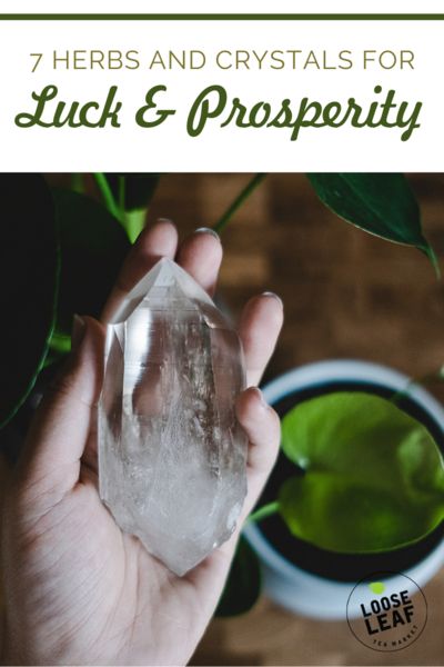 7 Herbs and Crystals for Luck and Prosperity Herbs For Luck And Money, Herbs For Luck, Wiccan Knowledge, Meditate With Crystals, Abundance Magic, Wicca Journal, Crystals For Luck, Learn How To Meditate, Prosperity Spell