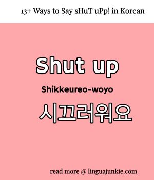 Shut Up In Korean, Korean Phrases, Learning Korean, Be Quiet, How To Say, Learn Korean, Korean Language, Shut Up, Read More