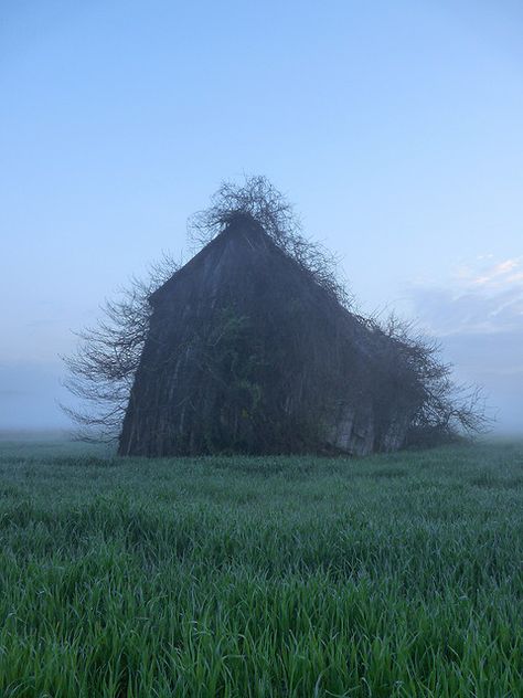 This would be somewhere on the property...  Living in fairy tale land. Country Barns, This Old House, Abandoned Mansions, Chernobyl, Angkor Wat, Old Barns, Old Barn, Abandoned Buildings, Covered Bridges